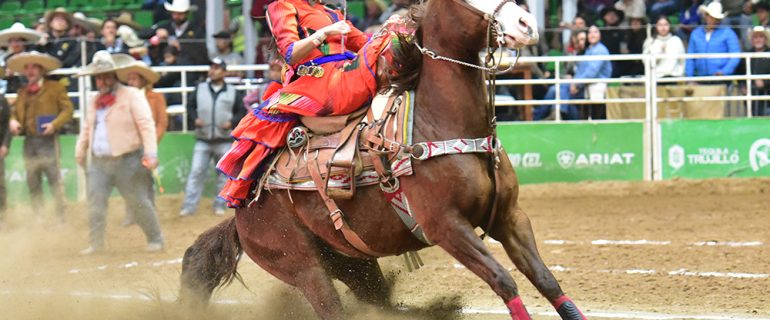 Feria de escaramuzas