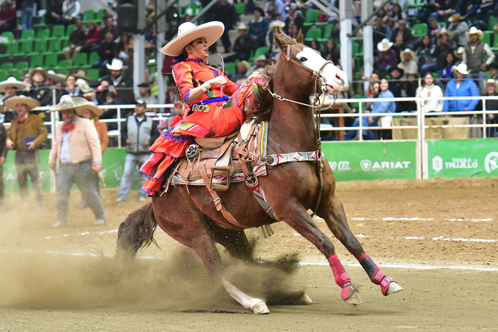 Feria de escaramuzas