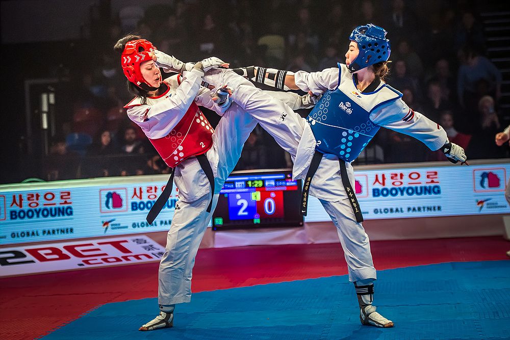 Octavo abierto de taekwondo